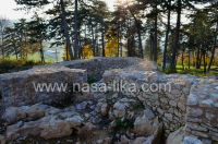 Fortica ila_rendered