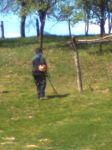Ni š od šlajsa ni k od košenja ila_rendered