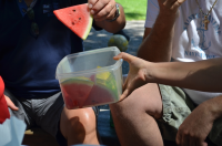 Okupljanje liÄana u dijaspori 2014. ila_rendered