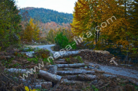 Crno Jezero ila_rendered