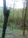 Ni š od šlajsa ni k od košenja ila_rendered