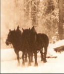 Kirijašenje ila_rendered