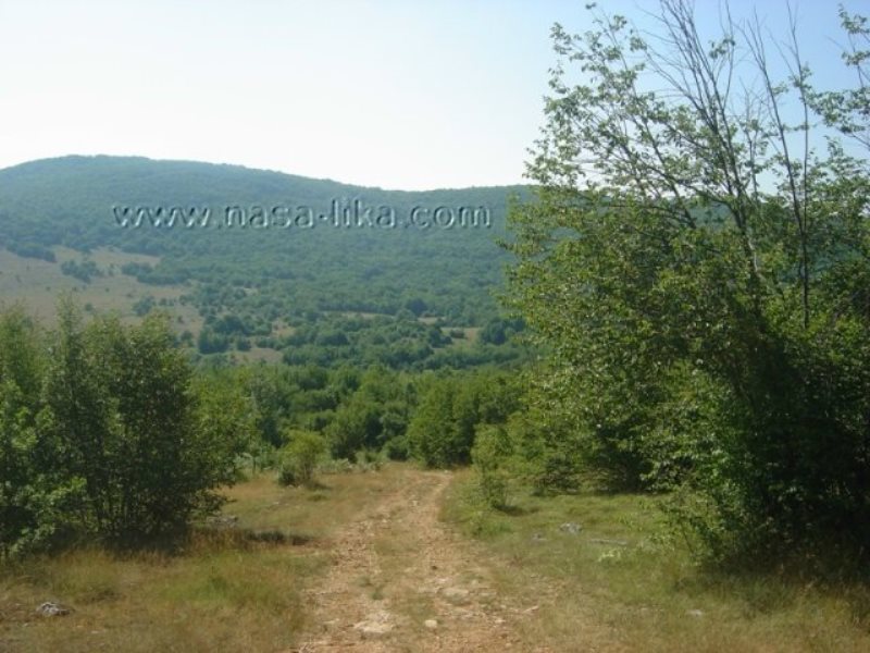 Pećinski park „Grabovača“