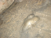 Pećinski park „Grabovača“ ila_rendered