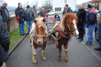 Brinje-Opet doček u-podne! ila_rendered