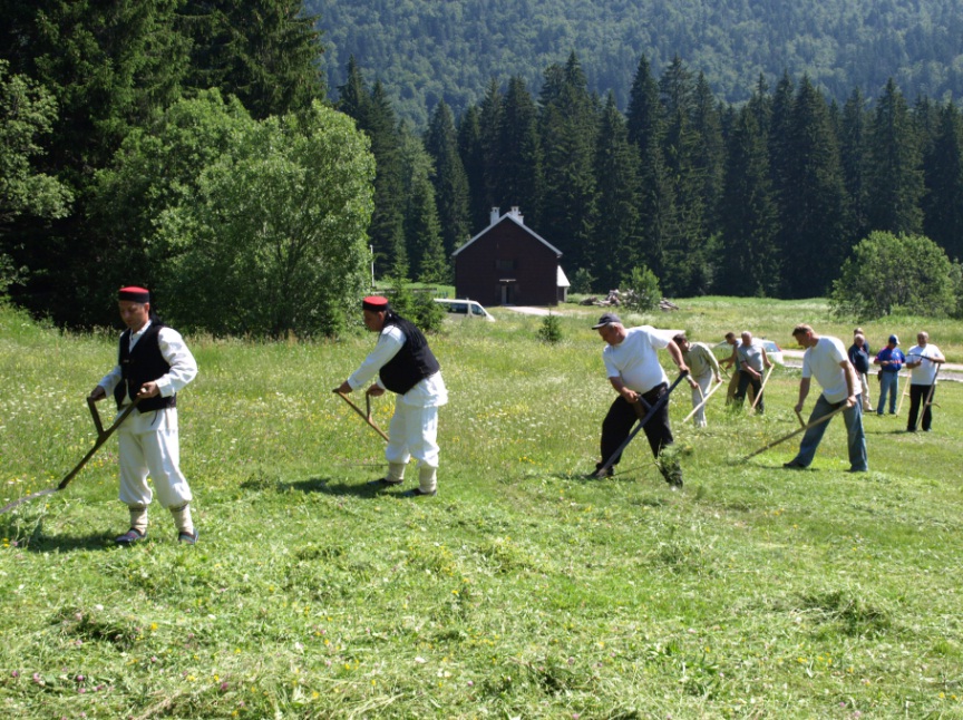 Košnja ila_rendered