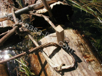 Transport trupaca rijekom Gackom ila_rendered