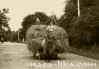 Košnja i spravljanje sijena ila_rendered
