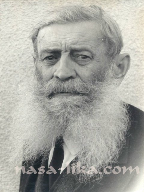 Čovići