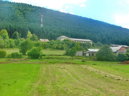 Vrhovine