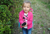 Planinarska kuća "SIJASET" ila_rendered