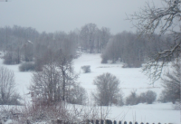 Ramljani ila_rendered