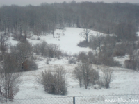 Ramljani ila_rendered