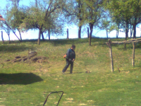 Ni š od šlajsa ni k od košenja ila_rendered