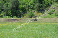 Čišćenje rijeke Gacke i obalnog dijela duž čitavog toka. ila_rendered