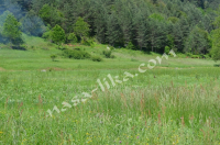 Čišćenje rijeke Gacke i obalnog dijela duž čitavog toka. ila_rendered