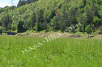 Čišćenje rijeke Gacke i obalnog dijela duž čitavog toka. ila_rendered