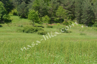 Čišćenje rijeke Gacke i obalnog dijela duž čitavog toka. ila_rendered