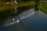 Čišćenje rijeke Gacke i obalnog dijela duž čitavog toka. ila_rendered