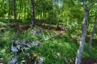 Čišćenje rijeke Gacke i obalnog dijela duž čitavog toka. ila_rendered