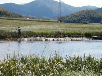 Transport trupaca rijekom Gackom ila_rendered