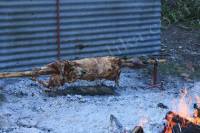Odrzan Licki piknik u Schaffhausenu ila_rendered