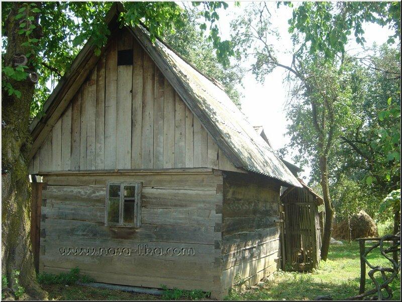 Čovići