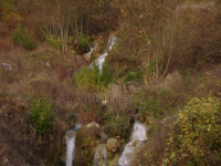Letinac ila_rendered