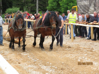 Čovići Štraparijada 2015 ila_rendered