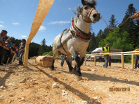 Čovići Štraparijada 2015 ila_rendered