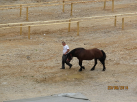 Čovići Štraparijada 2015 ila_rendered