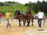 Čovići Štraparijada 2015 ila_rendered