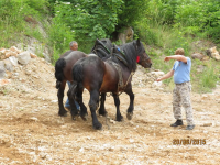 Čovići Štraparijada 2015 ila_rendered