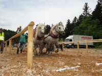 Čovići Štraparijada 2015 ila_rendered