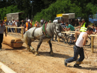 Čovići Štraparijada 2015 ila_rendered