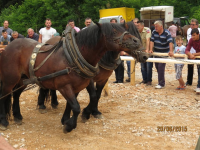 Čovići Štraparijada 2015 ila_rendered