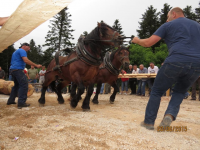 Čovići Štraparijada 2015 ila_rendered