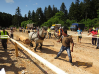 Čovići Štraparijada 2015 ila_rendered