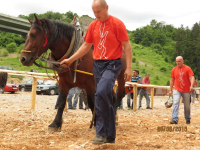 Čovići Štraparijada 2015 ila_rendered