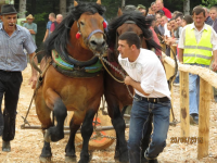 Čovići Štraparijada 2015 ila_rendered