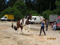 Čovići Štraparijada 2015 ila_rendered