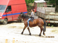 Čovići Štraparijada 2015 ila_rendered