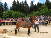 Čovići Štraparijada 2015 ila_rendered