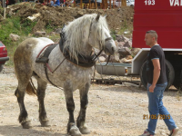 Čovići Štraparijada 2015 ila_rendered