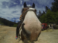 Čovići Štraparijada 2015 ila_rendered