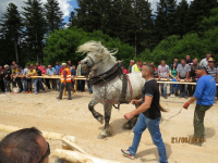 Čovići Štraparijada 2015 ila_rendered