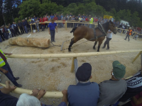 Čovići Štraparijada 2015 ila_rendered