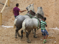 Čovići Štraparijada 2015 ila_rendered