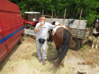 Čovići Štraparijada 2015 ila_rendered