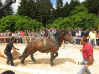 Čovići Štraparijada 2015 ila_rendered